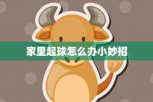 家里起球怎么办小妙招