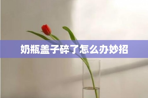奶瓶盖子碎了怎么办妙招