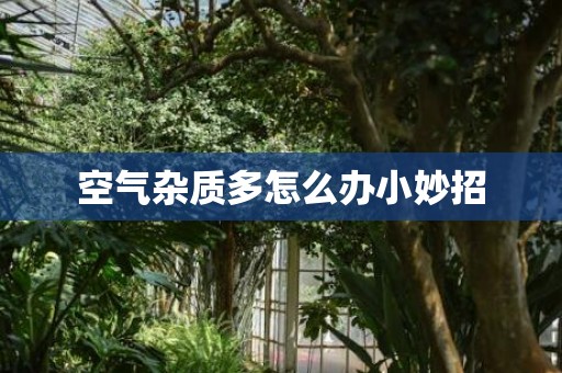 空气杂质多怎么办小妙招