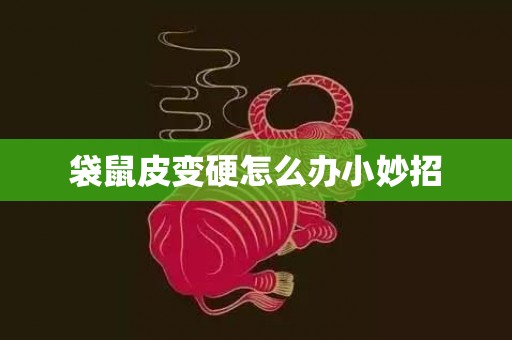 袋鼠皮变硬怎么办小妙招
