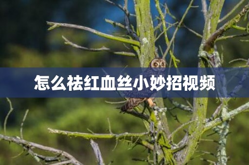 怎么祛红血丝小妙招视频