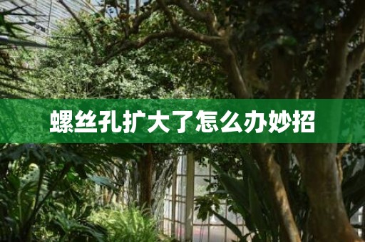 螺丝孔扩大了怎么办妙招