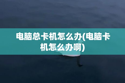 电脑总卡机怎么办(电脑卡机怎么办啊)