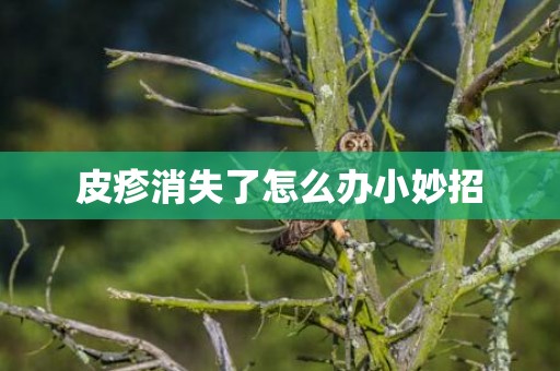 皮疹消失了怎么办小妙招