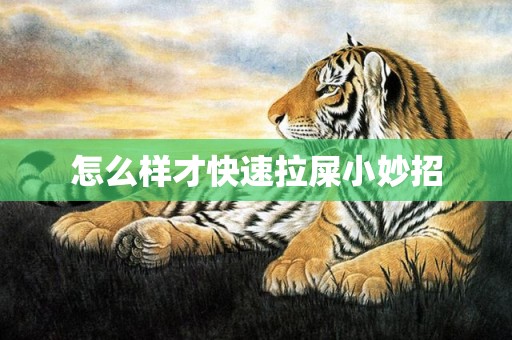 怎么样才快速拉屎小妙招