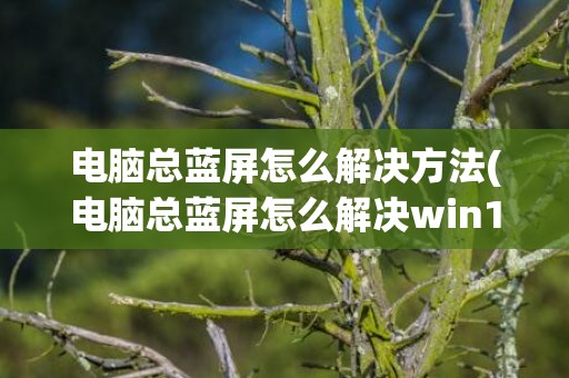 电脑总蓝屏怎么解决方法(电脑总蓝屏怎么解决win10)