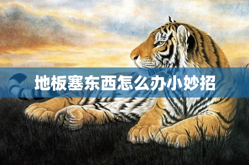 地板塞东西怎么办小妙招