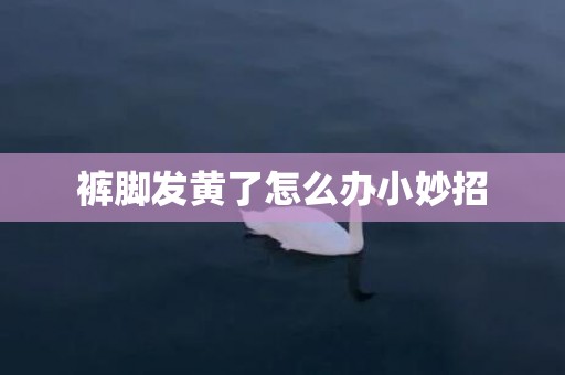 裤脚发黄了怎么办小妙招