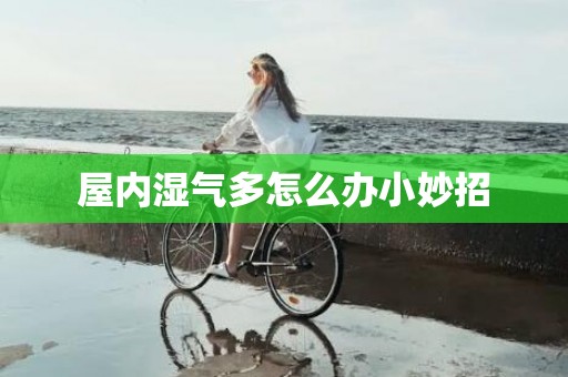 屋内湿气多怎么办小妙招