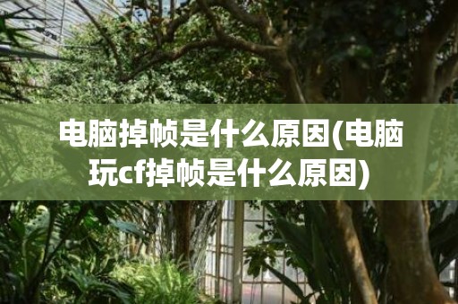 电脑掉帧是什么原因(电脑玩cf掉帧是什么原因)