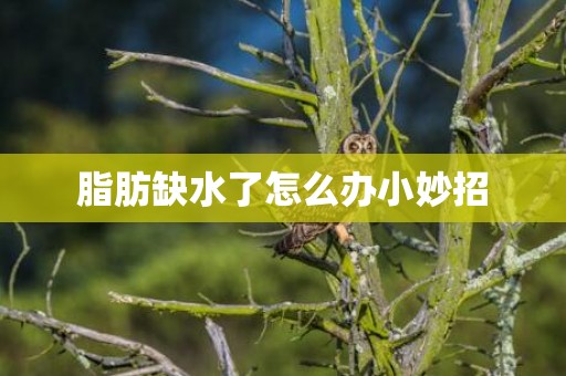 脂肪缺水了怎么办小妙招