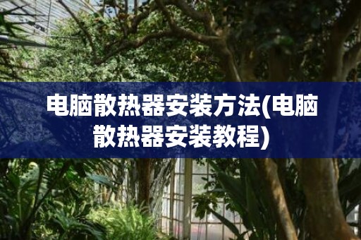 电脑散热器安装方法(电脑散热器安装教程)