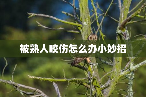 被熟人咬伤怎么办小妙招