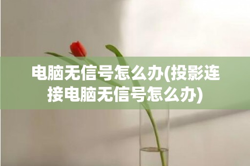 电脑无信号怎么办(投影连接电脑无信号怎么办)