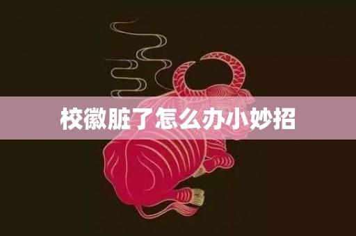 校徽脏了怎么办小妙招