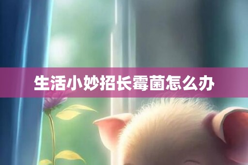 生活小妙招长霉菌怎么办