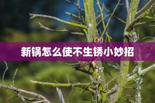 新锅怎么使不生锈小妙招