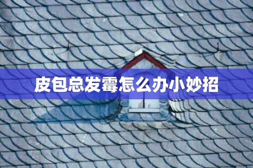 皮包总发霉怎么办小妙招