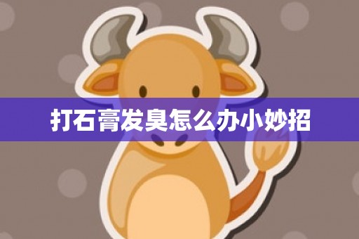 打石膏发臭怎么办小妙招