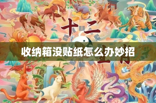 收纳箱没贴纸怎么办妙招