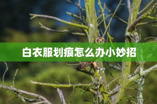 白衣服划痕怎么办小妙招