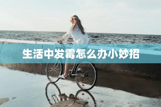 生活中发霉怎么办小妙招