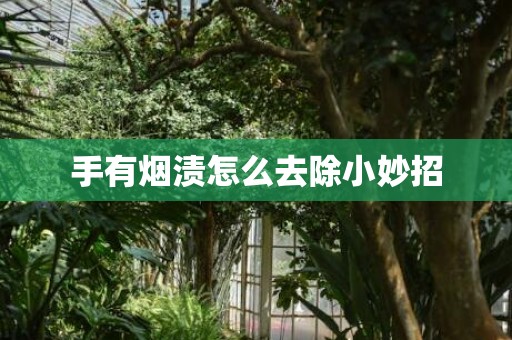 手有烟渍怎么去除小妙招