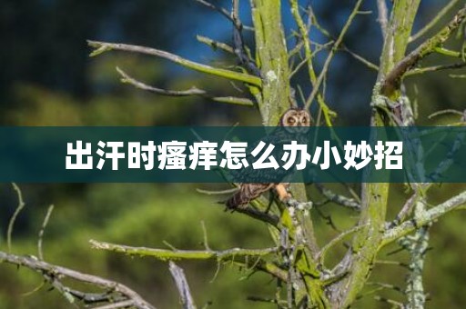 出汗时瘙痒怎么办小妙招
