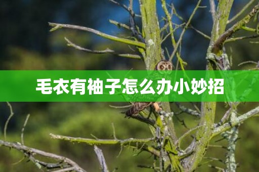 毛衣有袖子怎么办小妙招