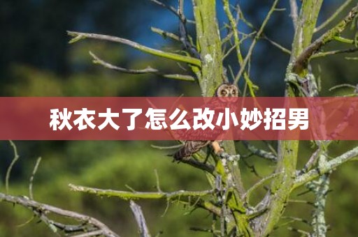 秋衣大了怎么改小妙招男