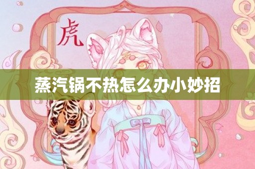 蒸汽锅不热怎么办小妙招