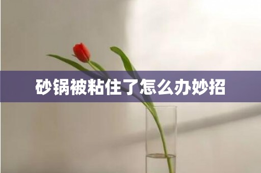砂锅被粘住了怎么办妙招