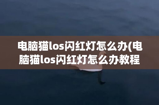 电脑猫los闪红灯怎么办(电脑猫los闪红灯怎么办教程)