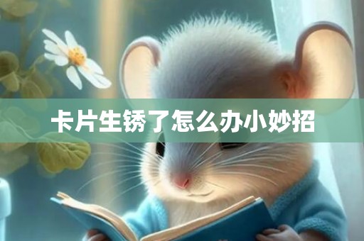 卡片生锈了怎么办小妙招