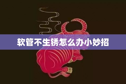 软管不生锈怎么办小妙招