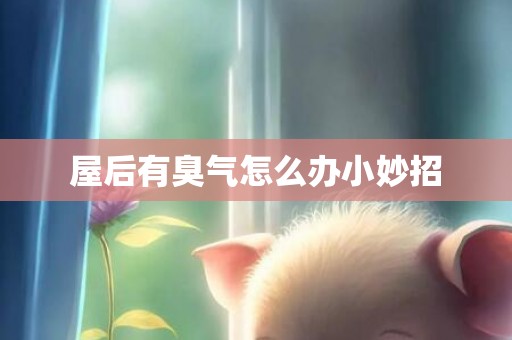 屋后有臭气怎么办小妙招