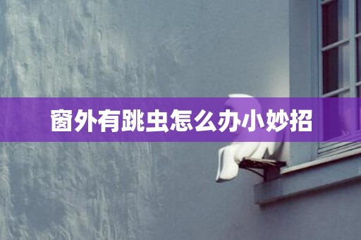 窗外有跳虫怎么办小妙招