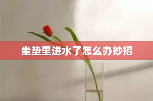 坐垫里进水了怎么办妙招