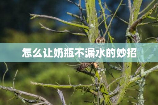 怎么让奶瓶不漏水的妙招