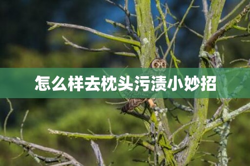 怎么样去枕头污渍小妙招