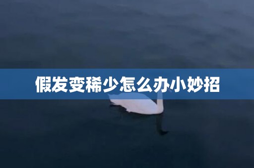 假发变稀少怎么办小妙招