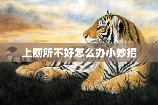 上厕所不好怎么办小妙招