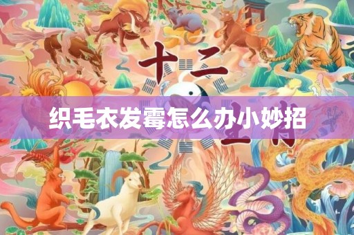 织毛衣发霉怎么办小妙招