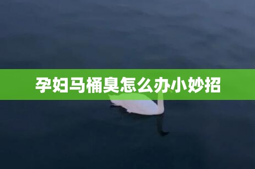 孕妇马桶臭怎么办小妙招