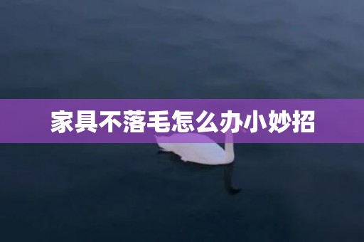 家具不落毛怎么办小妙招