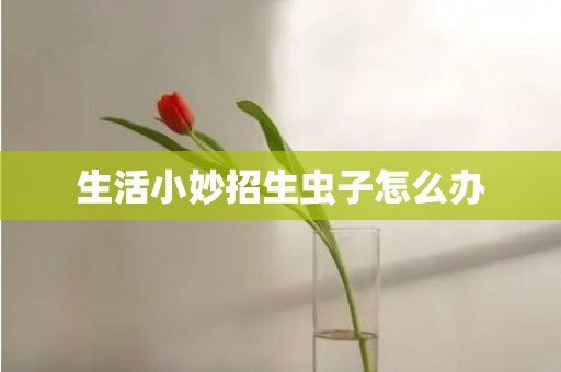 生活小妙招生虫子怎么办