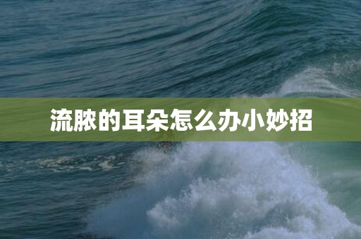 流脓的耳朵怎么办小妙招