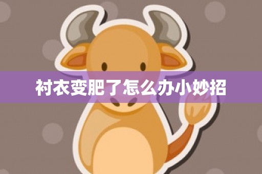 衬衣变肥了怎么办小妙招