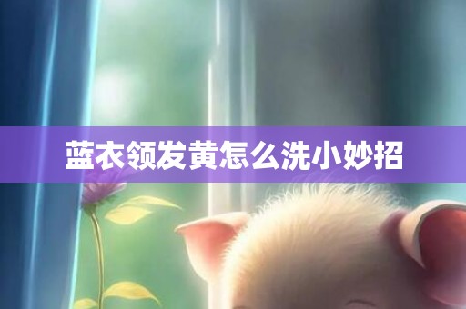 蓝衣领发黄怎么洗小妙招