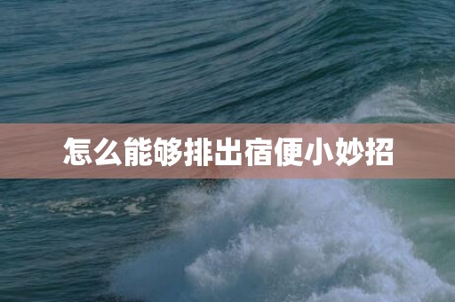 怎么能够排出宿便小妙招